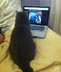 Tinker the cat.