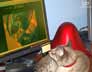 Bambulina the cat
