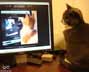 Clancy Wiggum the cat