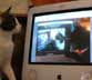 Meeko the cat