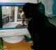Seymour Pudding the cat