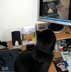 Sooty the cat