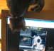 Shaolin the cat